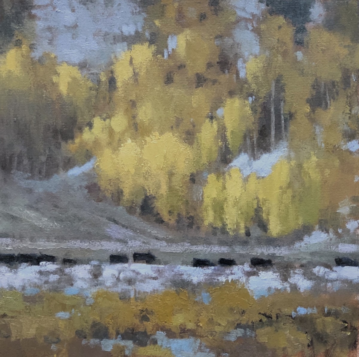 The Drift by Shanna Kunz 