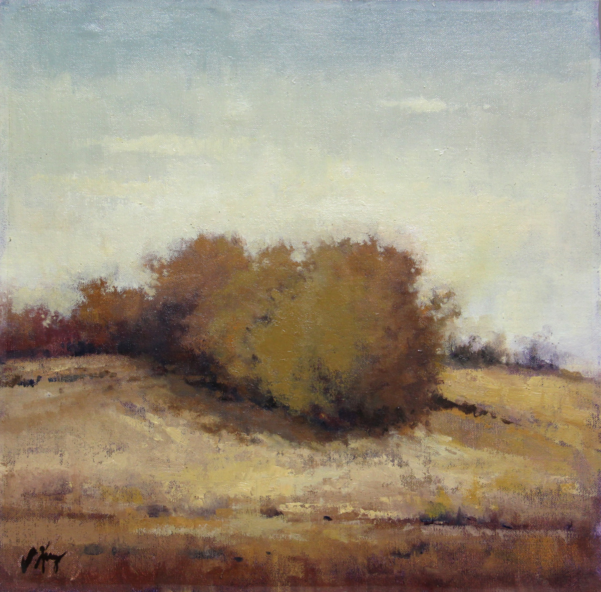 Windbreaker by Shanna Kunz 