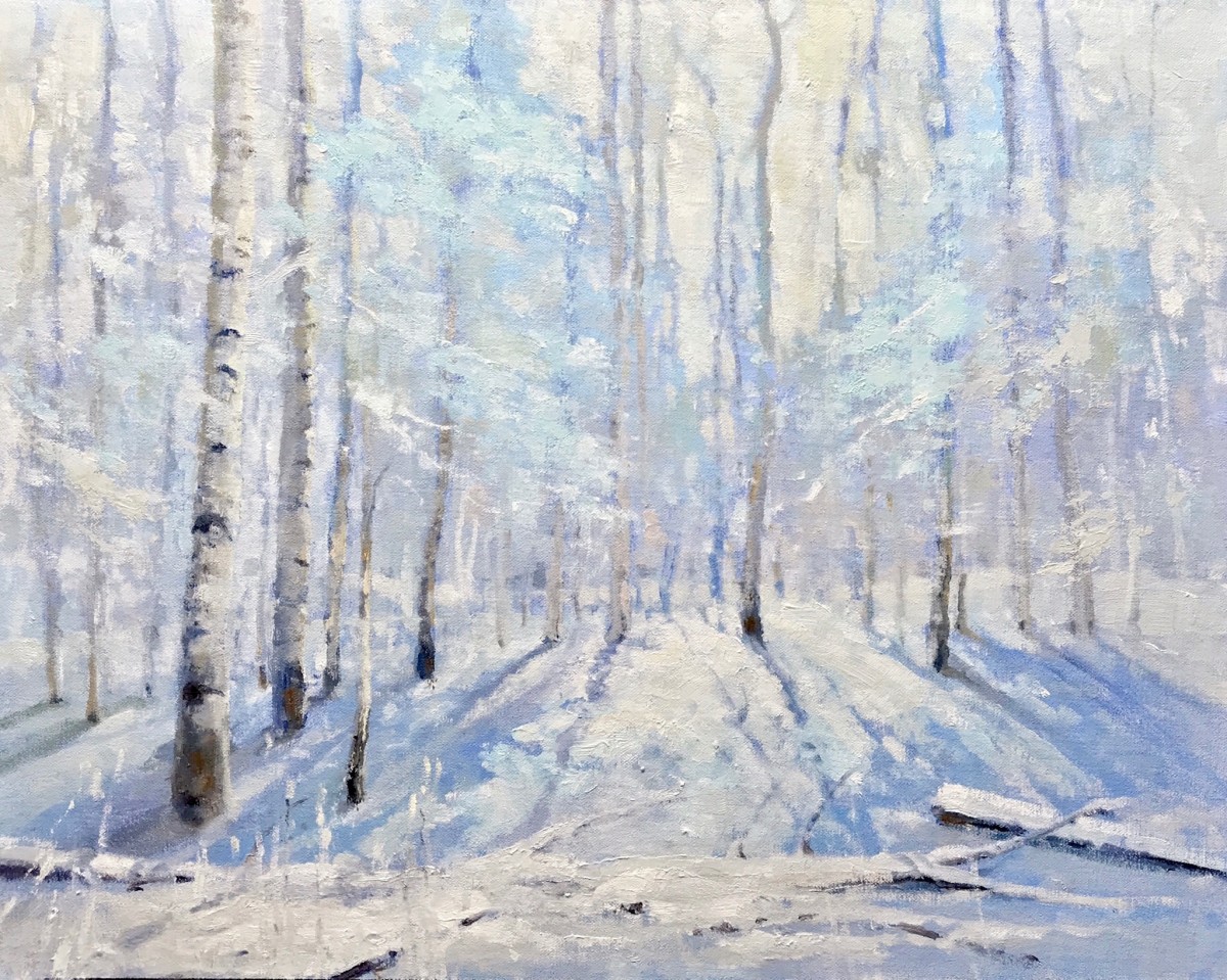 Wonderland Of Snow by Shanna Kunz 