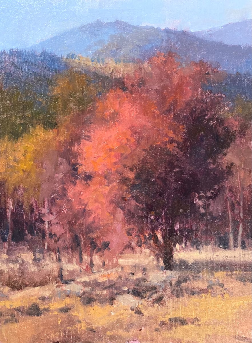 Blaze Of Glory by Shanna Kunz 