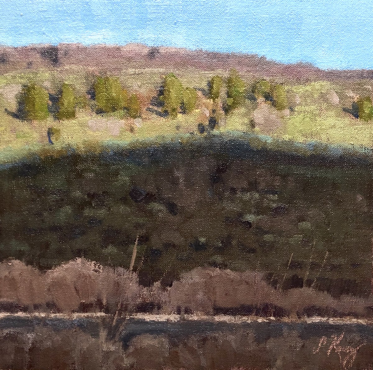 Shadow Rich by Shanna Kunz 