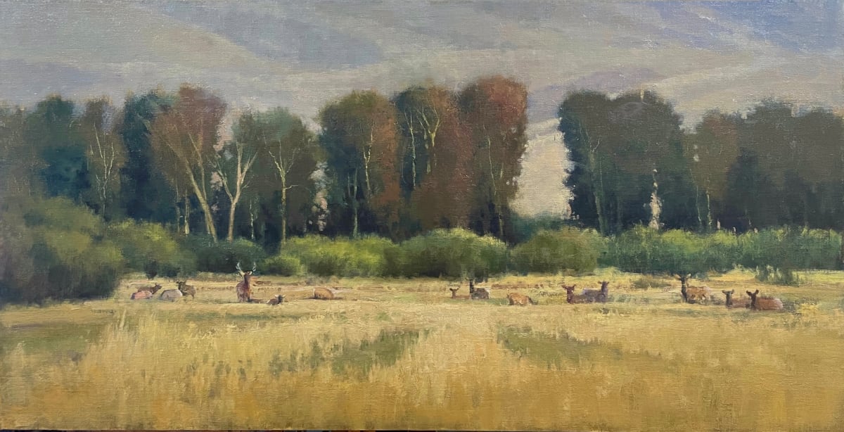 Golden Hour by Shanna Kunz 