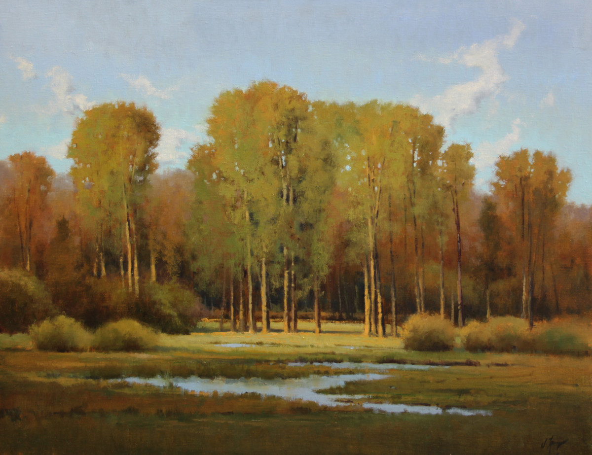 On A Clear Day by Shanna Kunz 