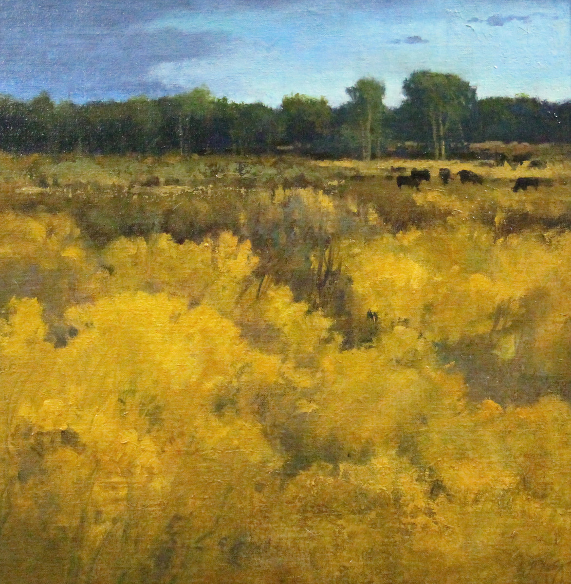 Chamisa by Shanna Kunz 