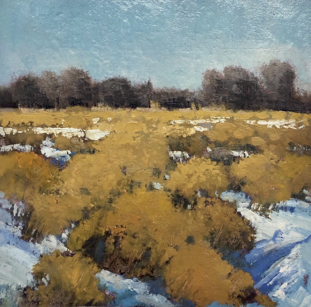 Chamisa Fall by Shanna Kunz 