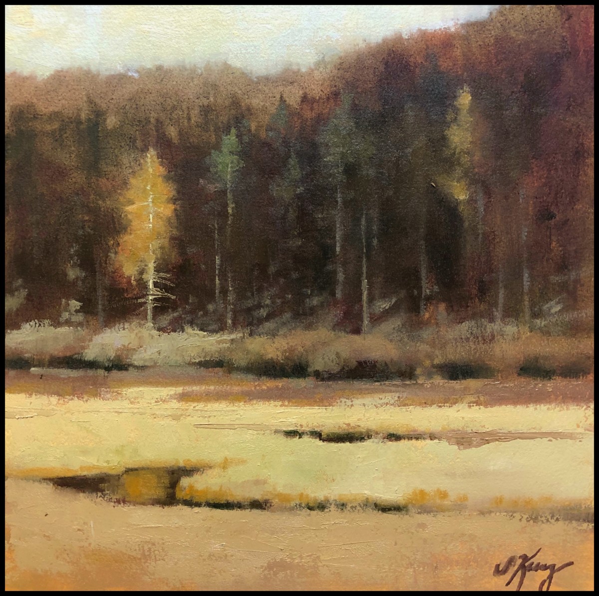 Sunlit Pine by Shanna Kunz 