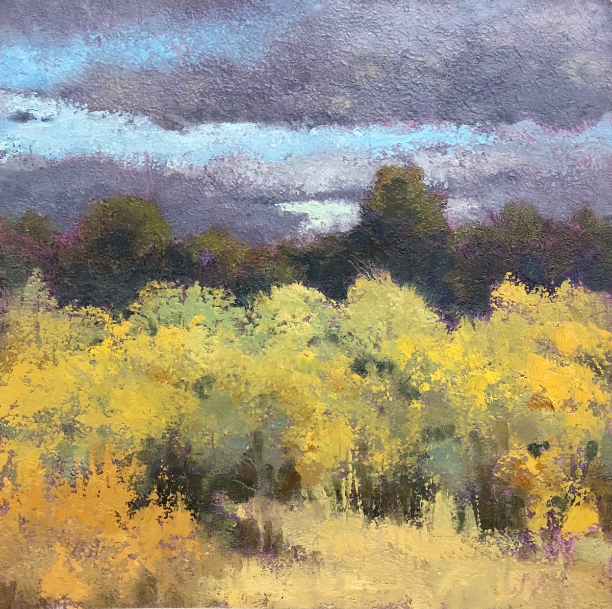 Chamisa Spring by Shanna Kunz 