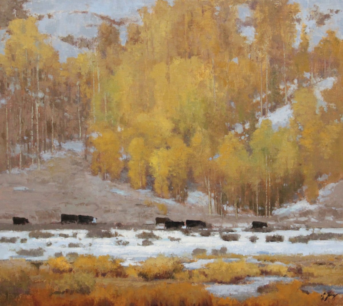 Migration by Shanna Kunz 