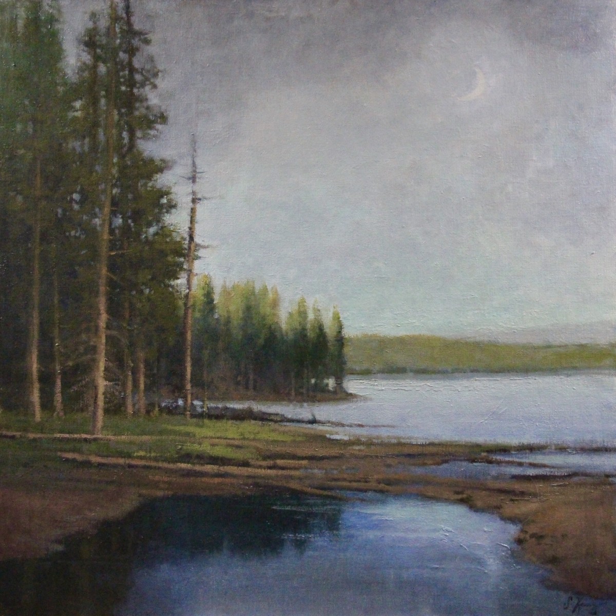 Sapphire Shadows by Shanna Kunz 