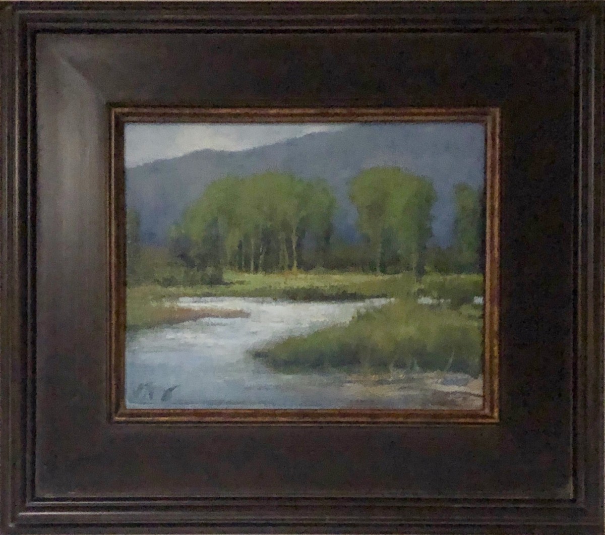 Sunlit by Shanna Kunz 