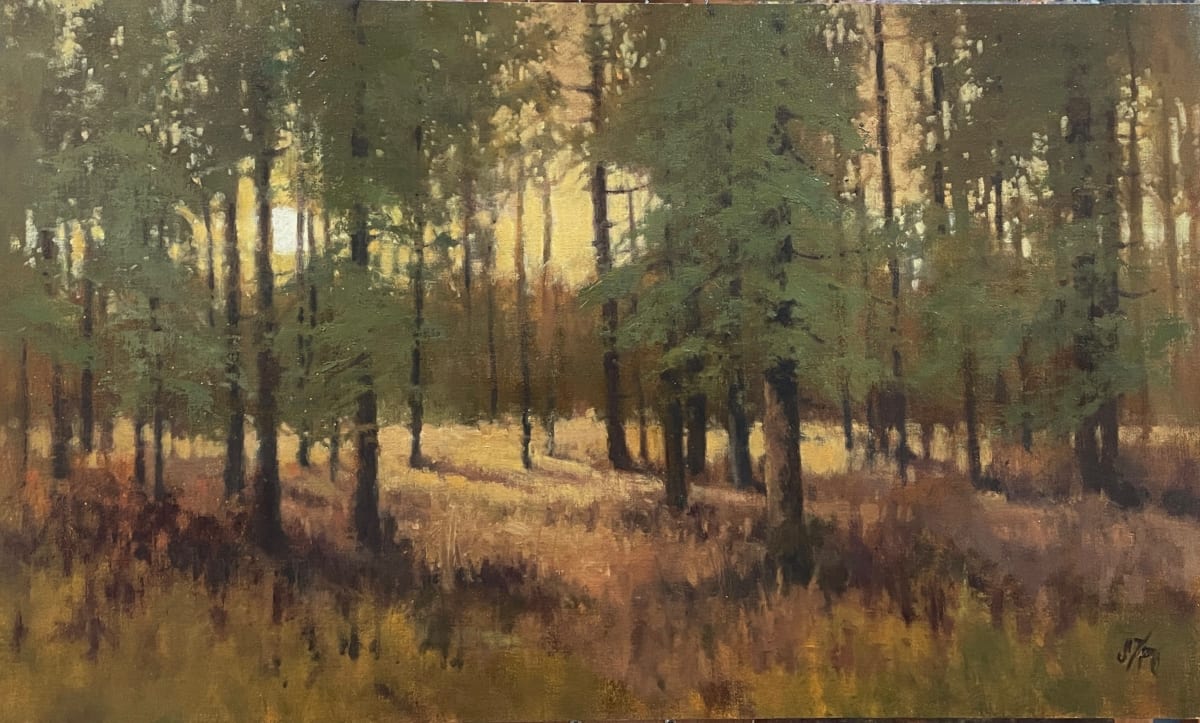 Serenity In The Trees by Shanna Kunz, Image 1.