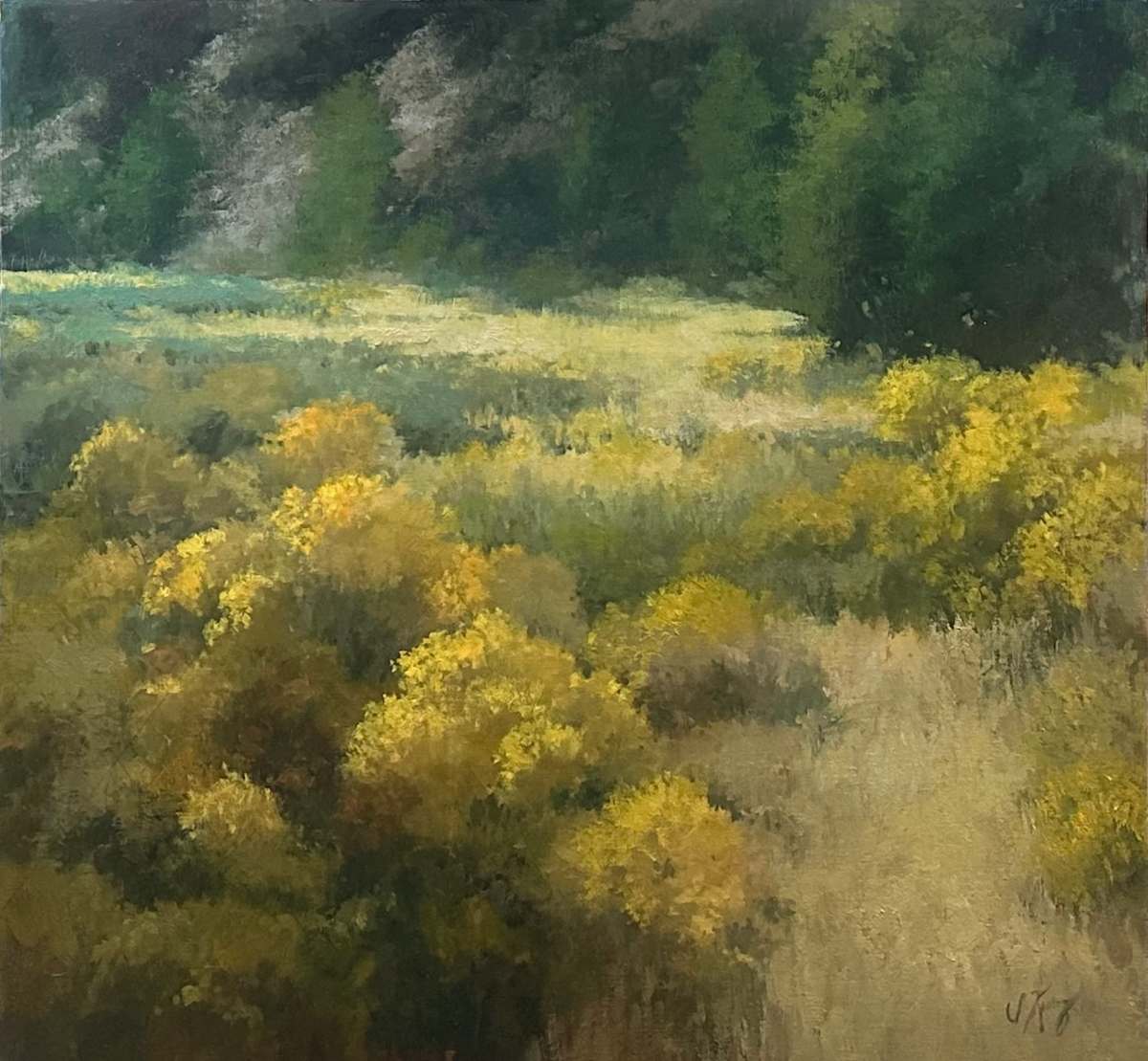 Fields In Bloom by Shanna Kunz 