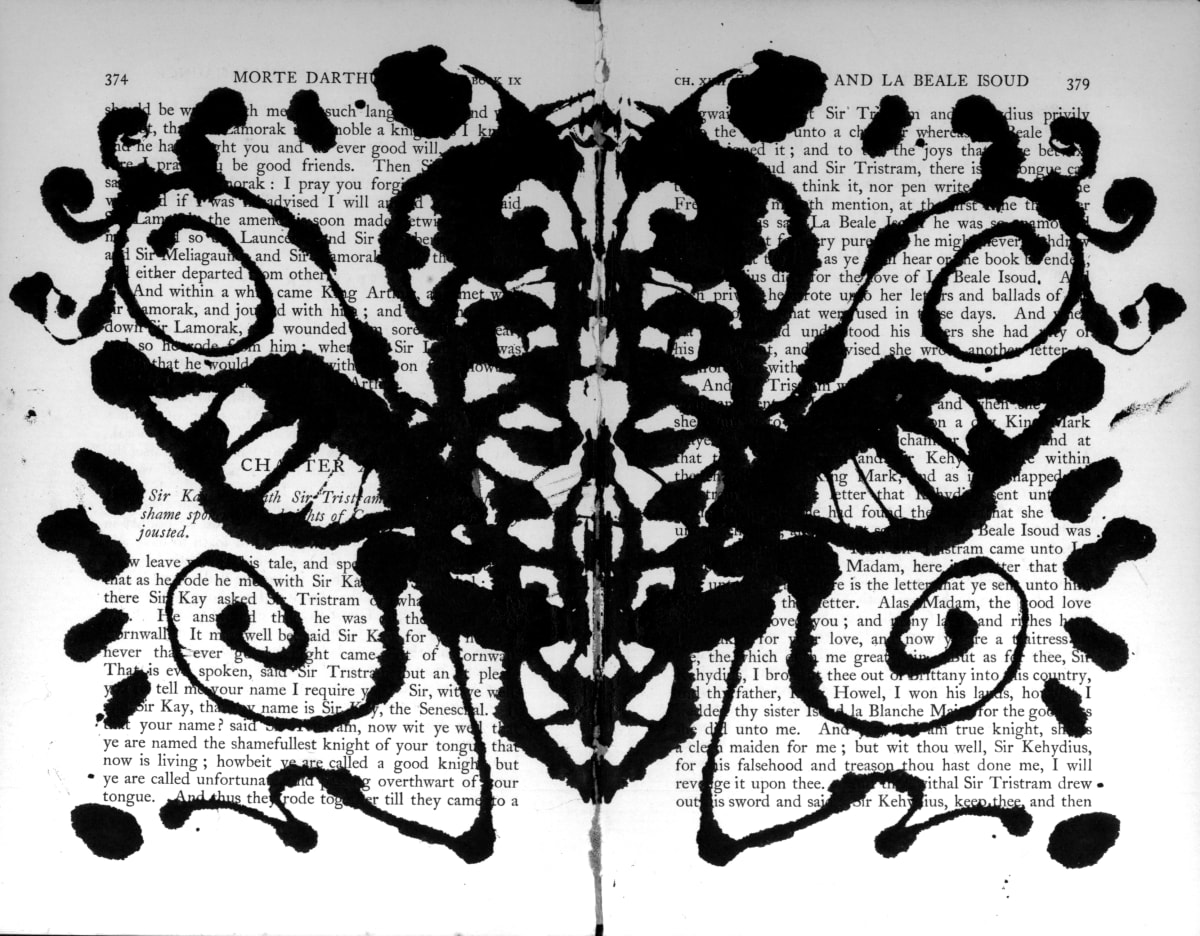 Rorschach: Beetle with Wings by Steffanie Lorig, Image 1.
