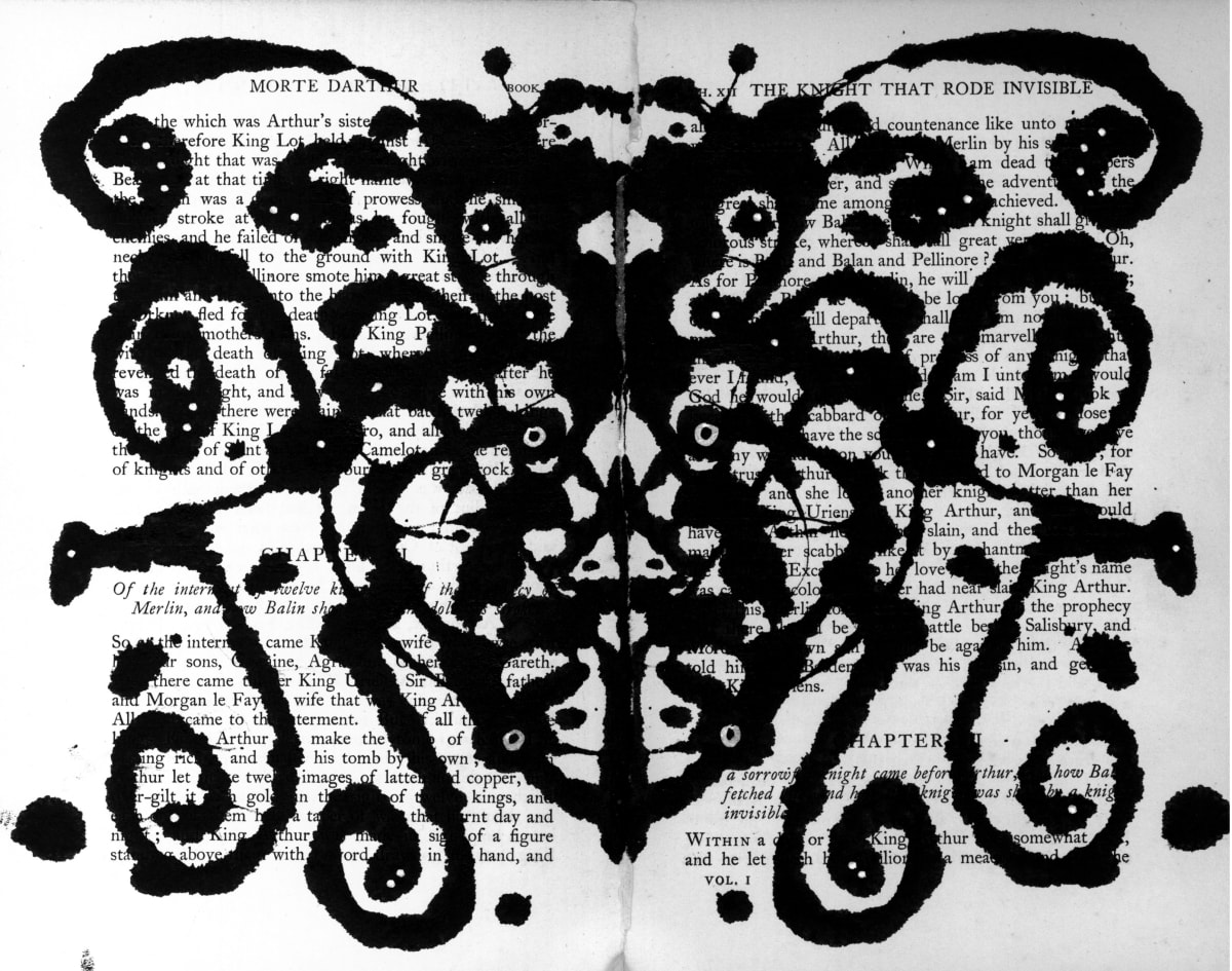 Beetle5 by Steffanie Lorig 
