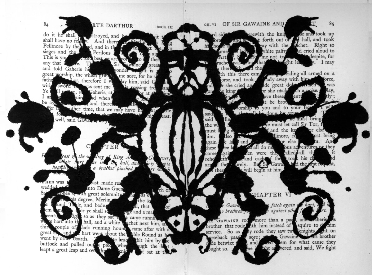 Rorschach: Old Man Beetle by Steffanie Lorig 