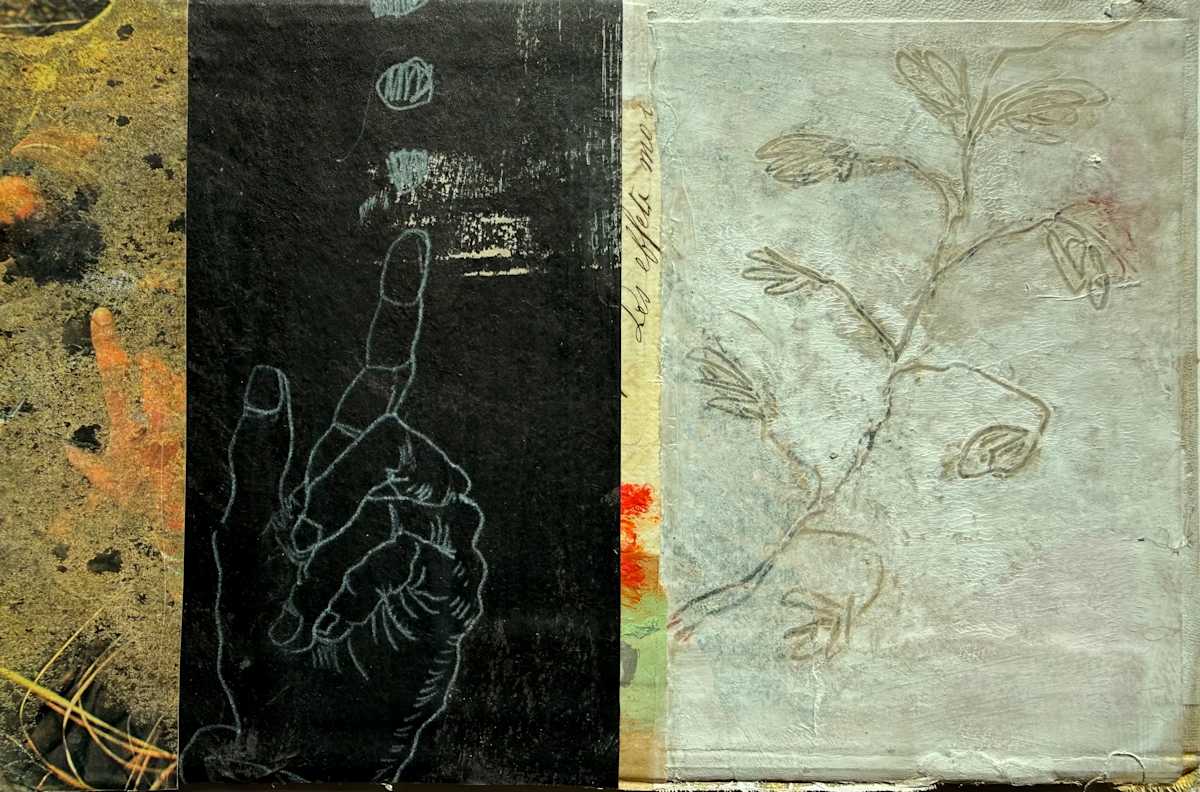 The Effect on Me by Steffanie Lorig, Image 1.