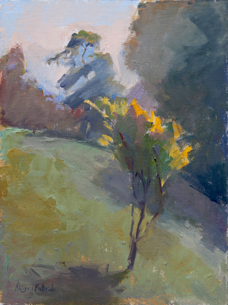 Brothers by Abigail McBride 