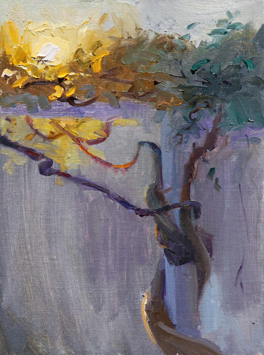 Grapevine by Abigail McBride 