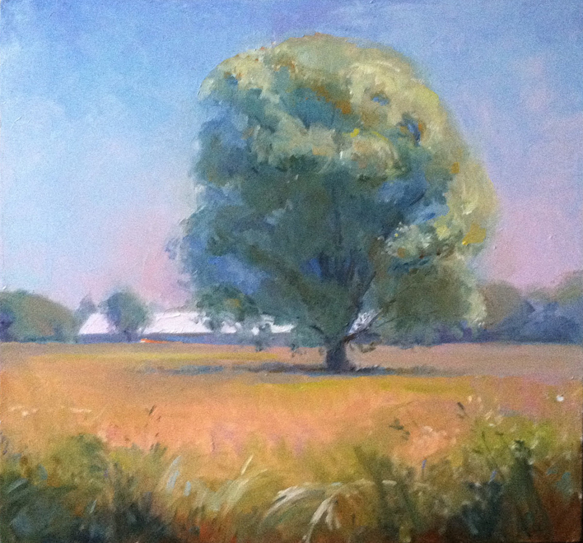 Summer Fields by Abigail McBride 