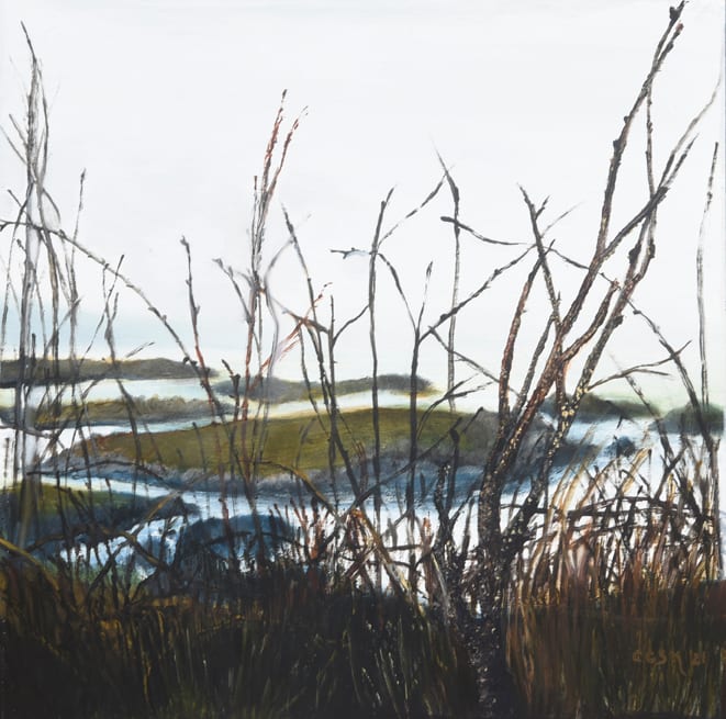 The Marsh by Carolyn Kleinberger  