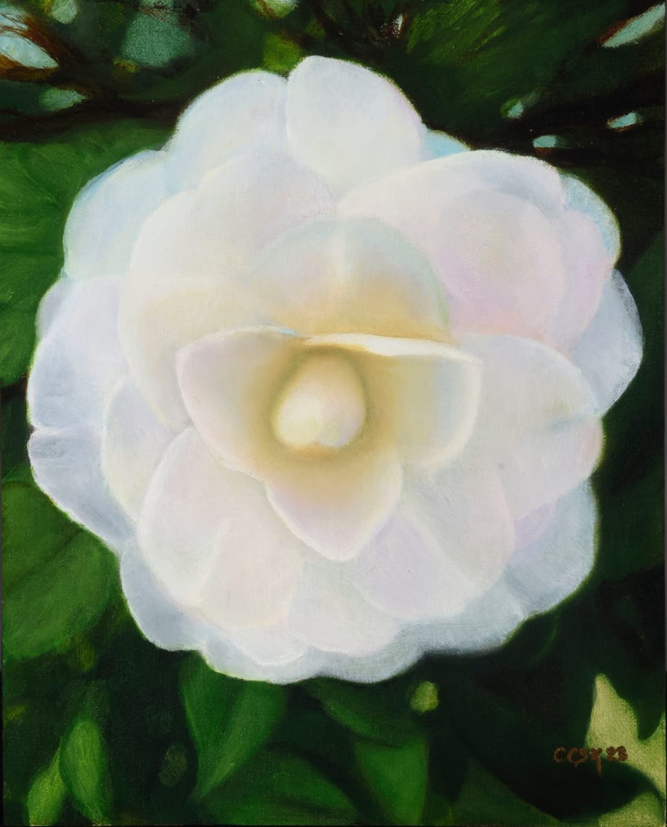 The Perfect Camellia, Descanso Gardens by Carolyn Kleinberger 