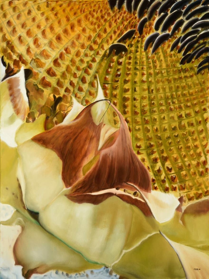 Heart Of The Sunflower by Carolyn Kleinberger  Image: Giclee canvas reproductions are available, size 41" x 33", $750. 
Limited Edition of 18