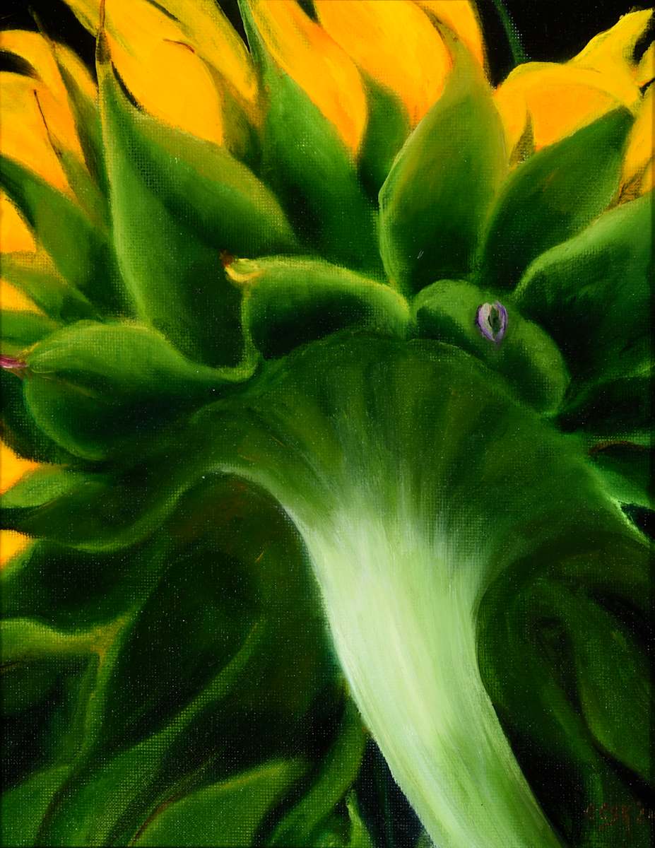 Grand Sunflower by Carolyn Kleinberger 
