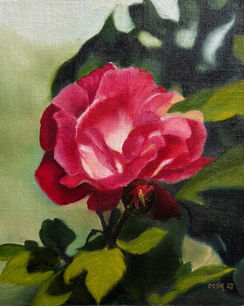The Glowing Rose by Carolyn Kleinberger 