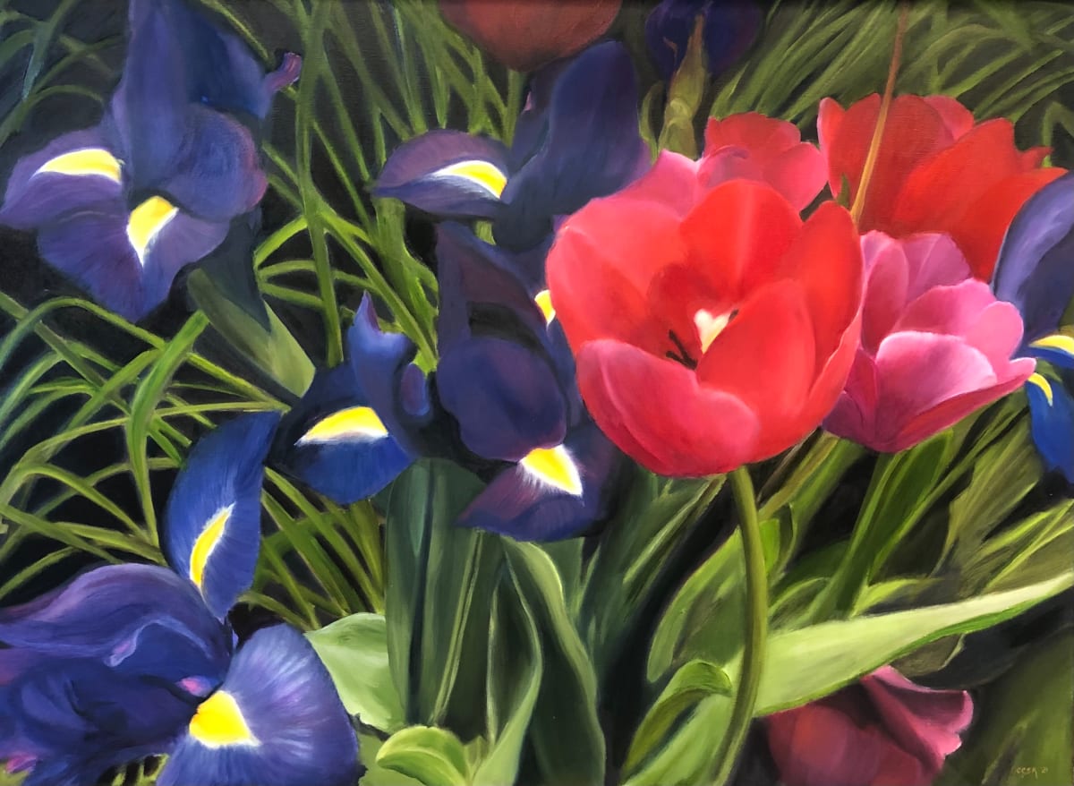 Springs Glory - Tulips and Irises by Carolyn Kleinberger  