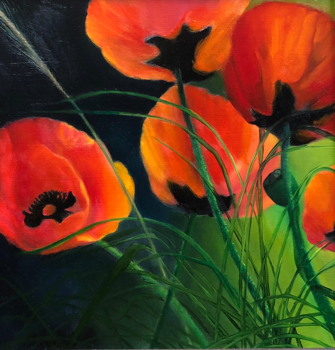 Poppies In The  Field by Carolyn Kleinberger 