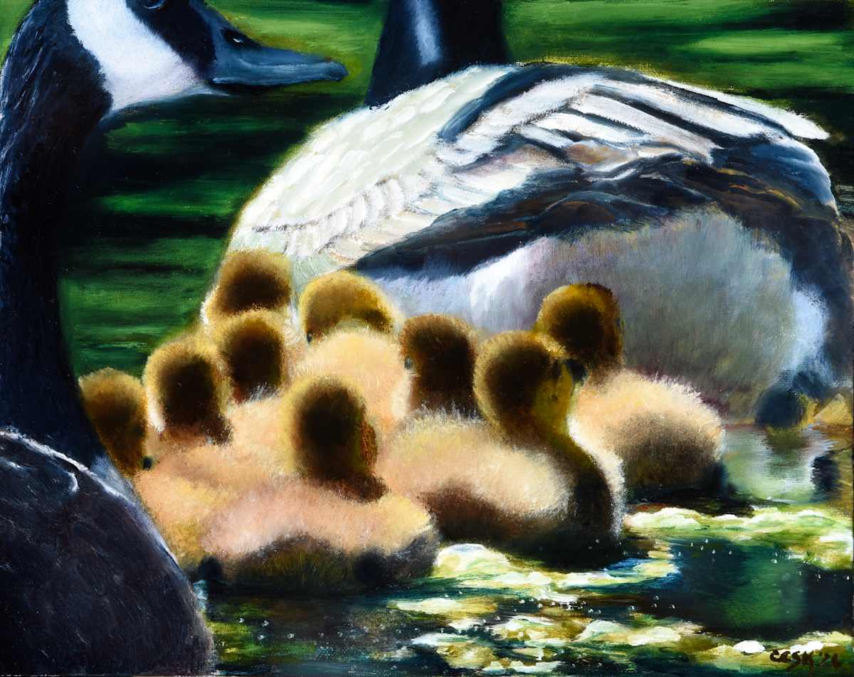 Make Way For Goslings by Carolyn Kleinberger, Image 1.