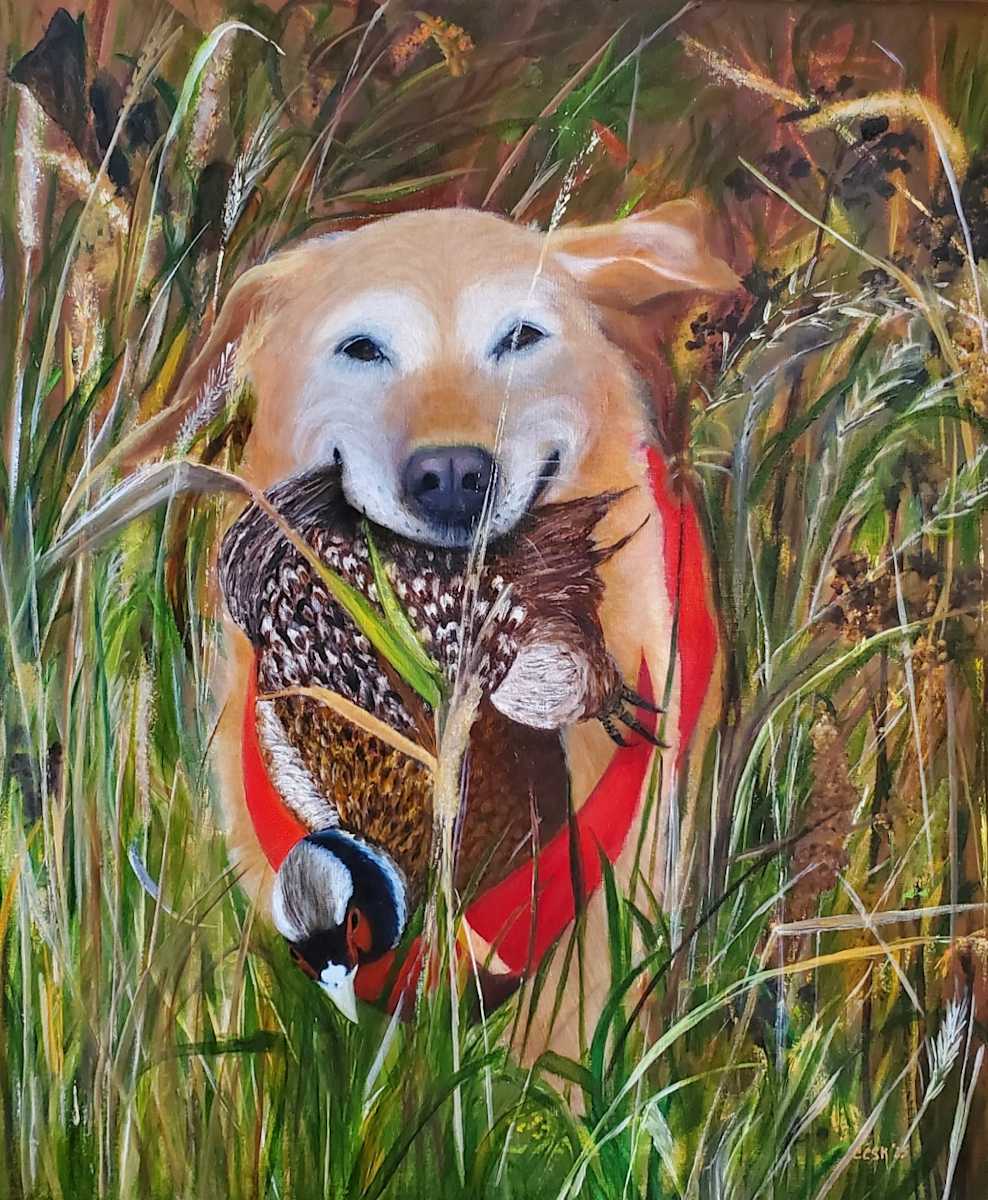 Beauty or Beast? by Carolyn Kleinberger 