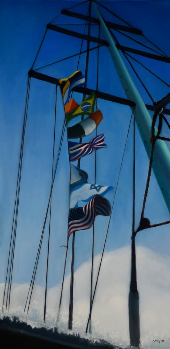 Sea Flags In Annapolis 