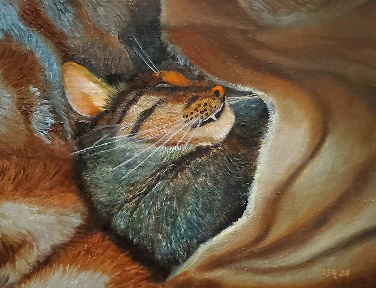 Cat In Blankies by Carolyn Kleinberger  Image: This little cat was found and given a loving home, a new life in LA. I tried to paint his feelings of happiness and safety as he slept, wrapped up in his "blankies".
