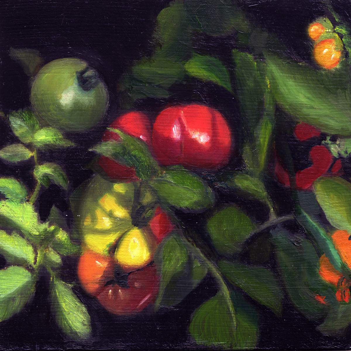 Tomatoes On The Vine by Carolyn Kleinberger, Image 1.