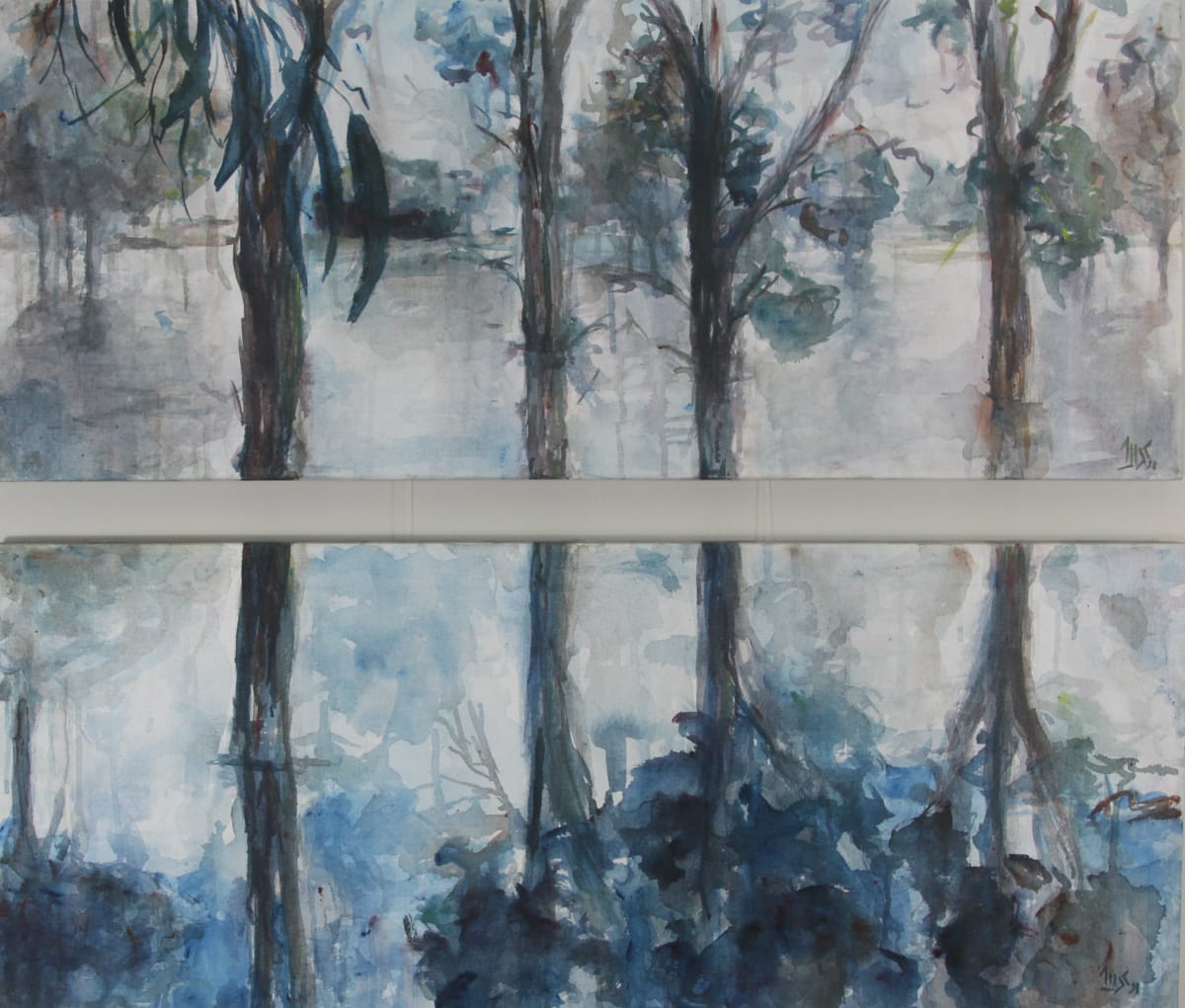 Eucaliptus by Mariana Sola 