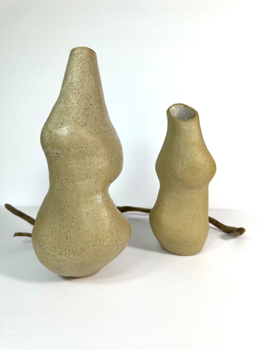 Organic vases by Mariana Sola 