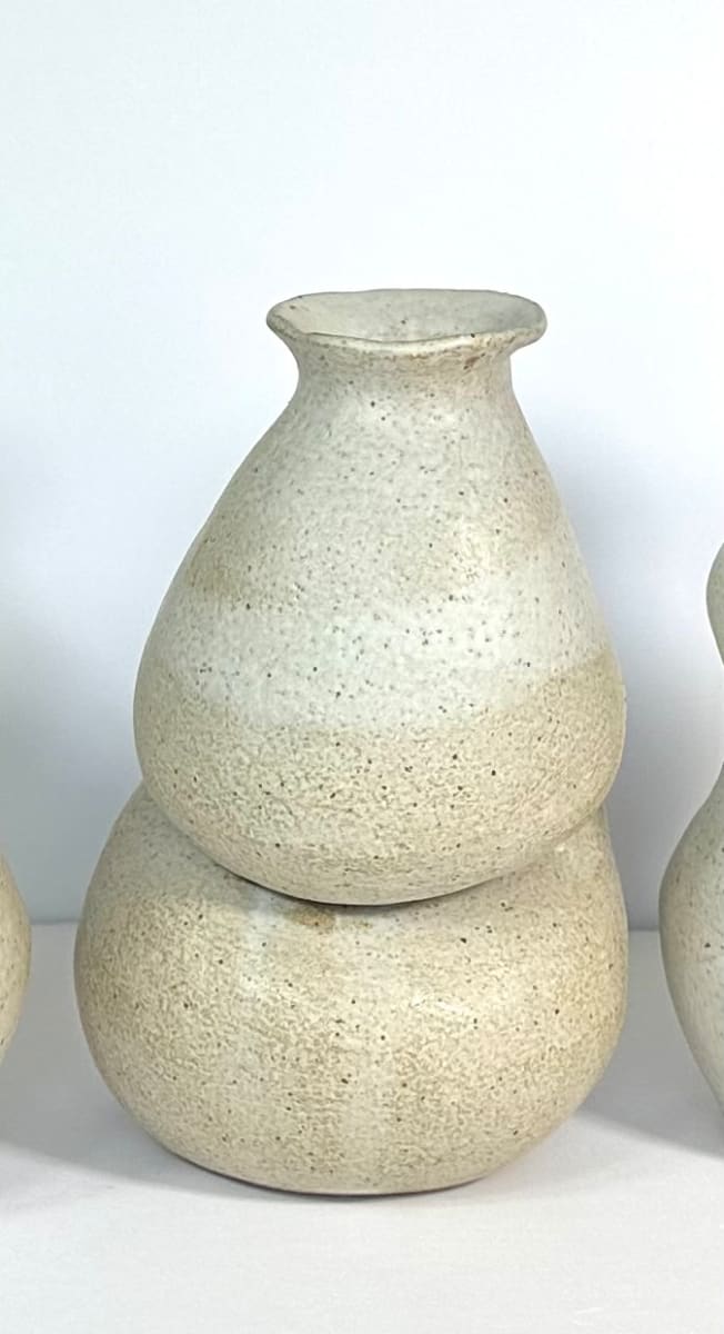 Organic Vases #2 by Mariana Sola