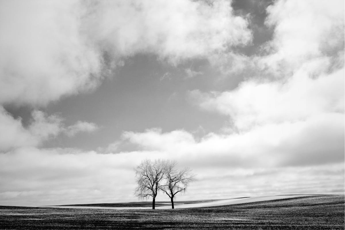 Tree Pair by Steve Babbitt  Image: “This image is from my series titled ‘The South Dakota Prairie Project’. Most of the images from this project deal with the changing face of rural South Dakota, the landscape, and our influence on the landscape. I have always had a fascination with the subtle beauty of the Great Plains and the prairie, and I never tire of trying to capture its harshness and beauty.”