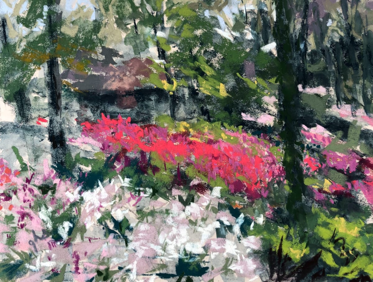 Azalea Explosion, Image 1.