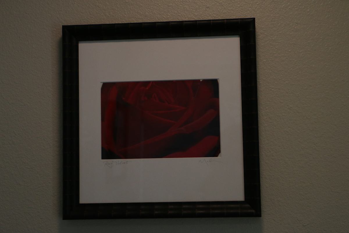 Red by Malia Welsh, Image 1.