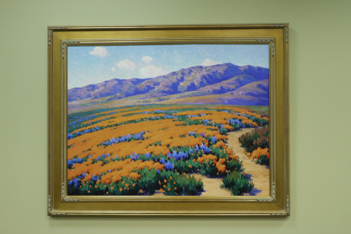 California Wildflowers by John Gamble 