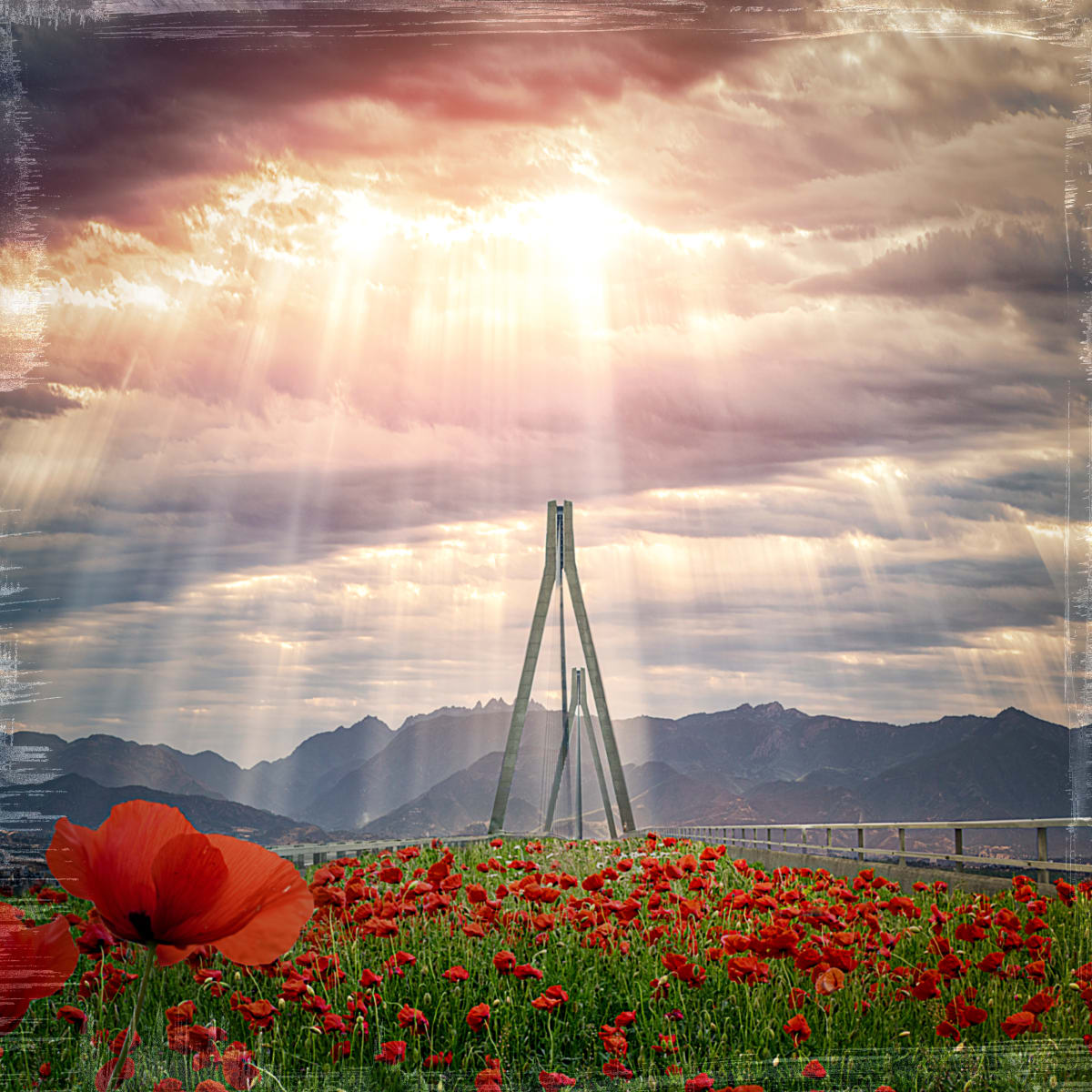 The Bridge of Poppies   #1/5 