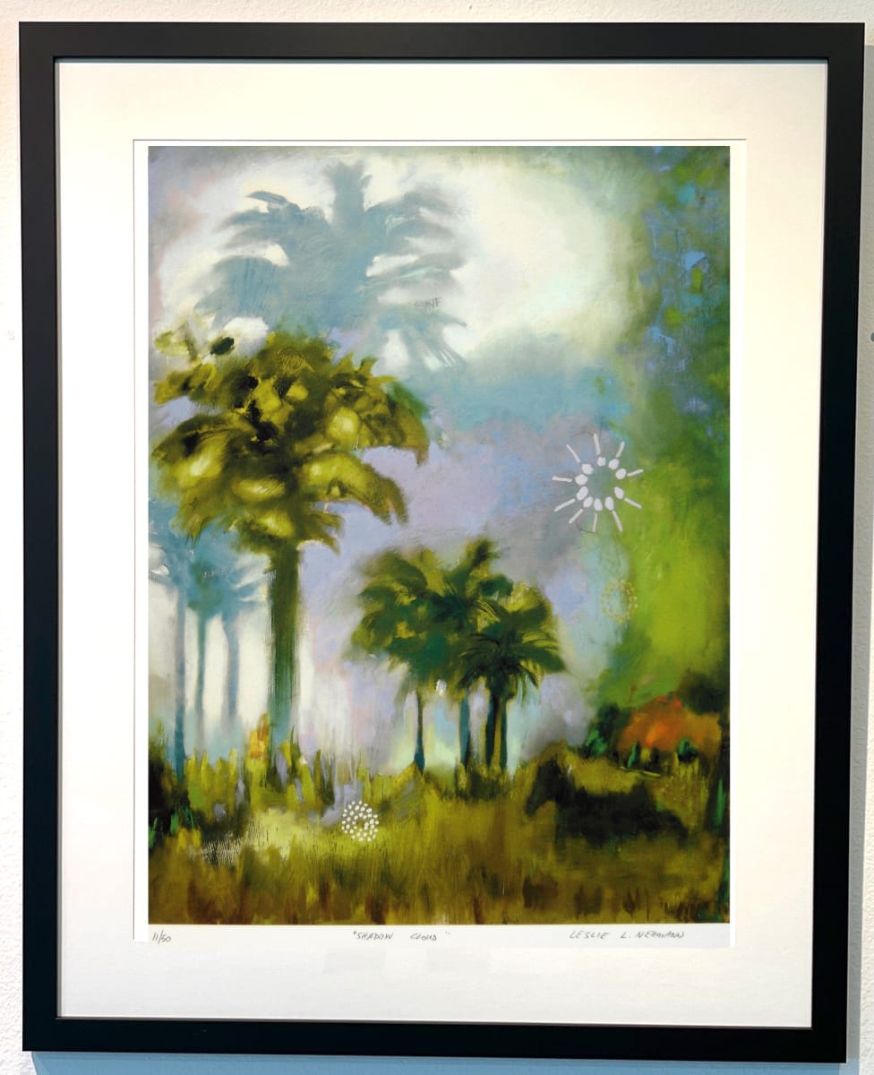 Shadow Cloud - Framed by Leslie Neumann, Image 2.