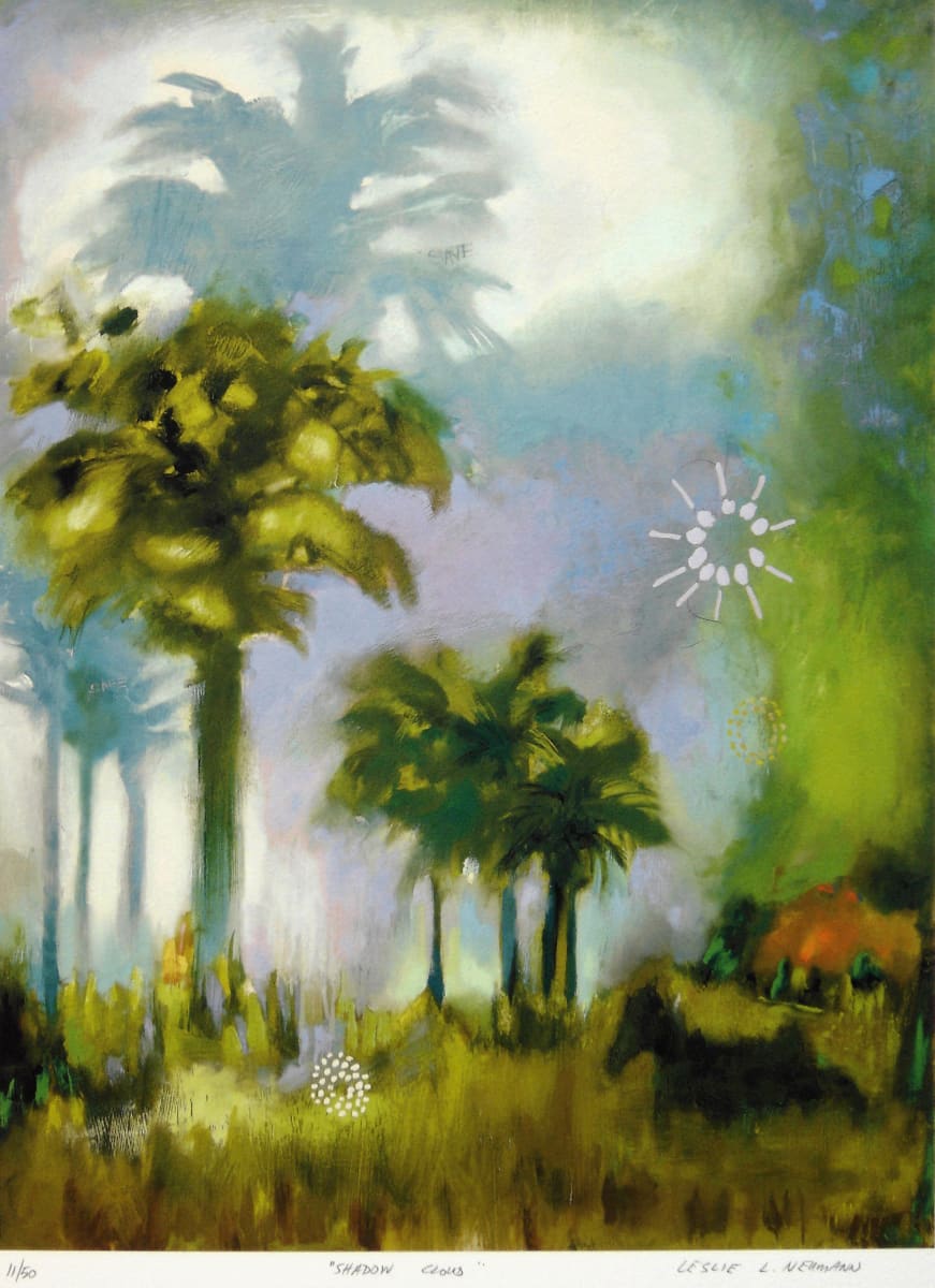 Shadow Cloud by Leslie Neumann 