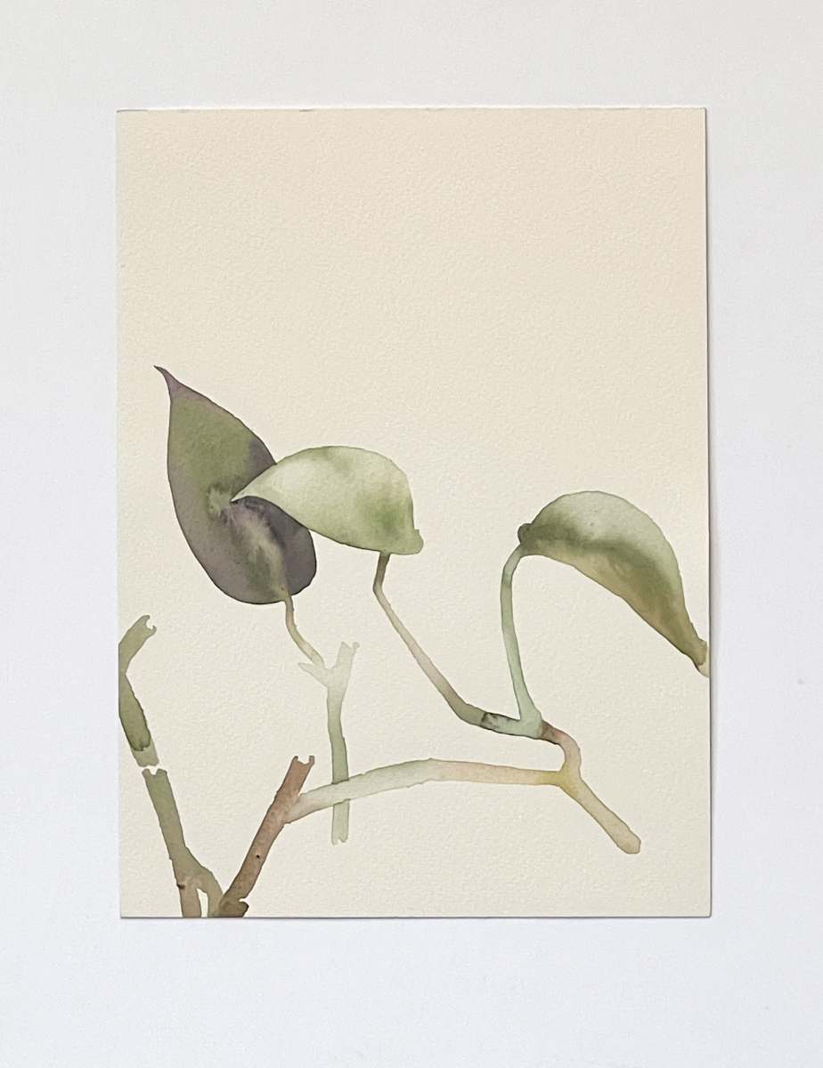Golden Pothos 1/21 by Karen Kuo  Image: 9-14-2018 no. 1, Series: #1 of 21.