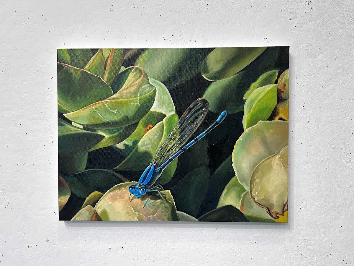 Damselfly by Karen Kuo  Image: One of the damselflies that came to visit our home garden this past summer (2024).