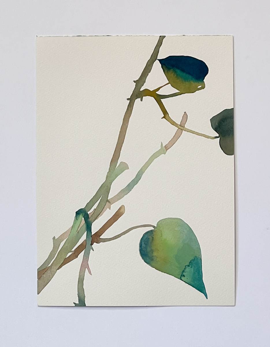 Golden Pothos 10/21 by Karen Kuo  Image: 9-15-2018 no. 1, Series: #10 of 21.