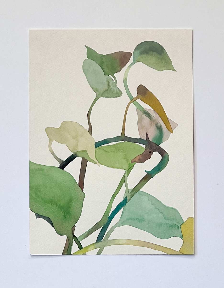 Golden Pothos 18/21 by Karen Kuo  Image: 9-16-2018 no. 1, Series: #18 of 21.