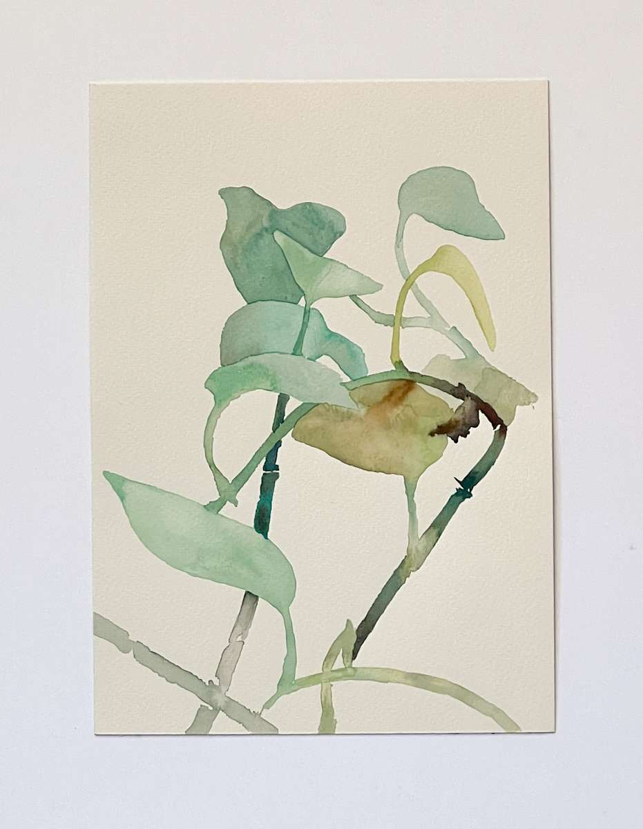 Golden Pothos 3/21 by Karen Kuo  Image: 9-14-2018 no. 3, Series: #3 of 21.